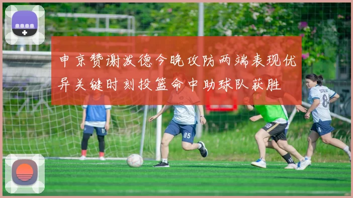 申京赞谢泼德今晚攻防两端表现优异关键时刻投篮命中助球队获胜